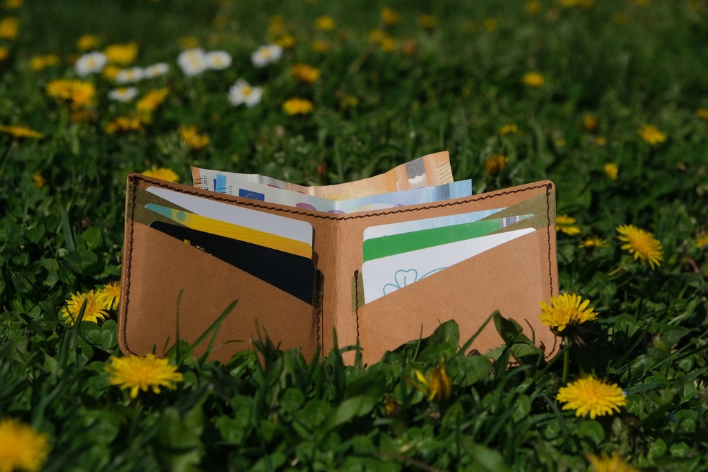 Classic Wallet | Brown & Green 2 with cards.JPG