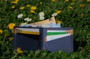 Classic Wallet | Blue & Brown 2 with cards.JPG