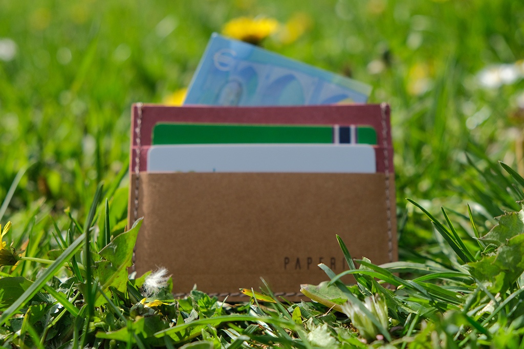 Cardholder | Red & Brown card.jpg