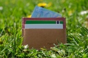 Cardholder | Red & Brown card.jpg