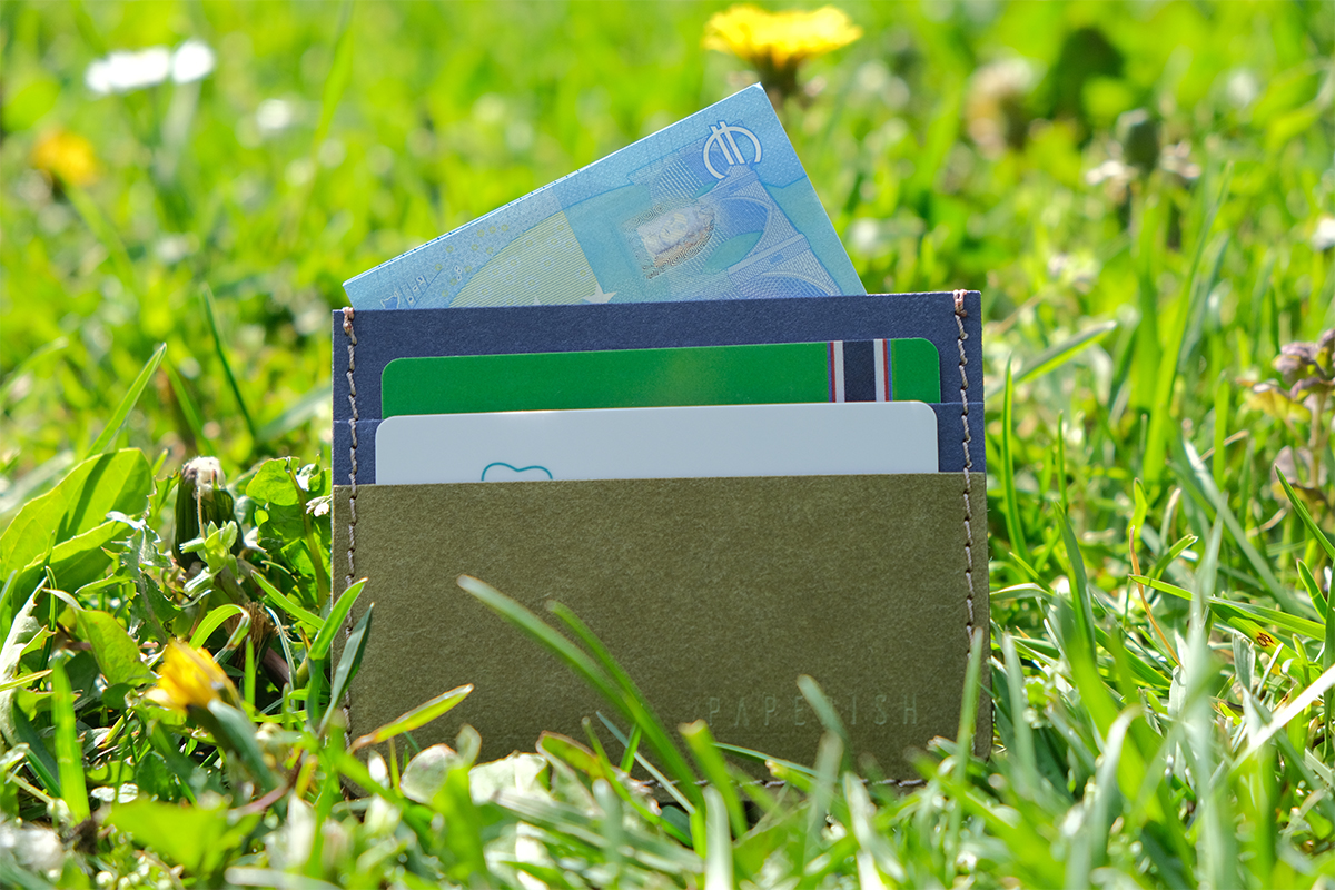 Cardholder| Blue &amp; Green 3.jpg