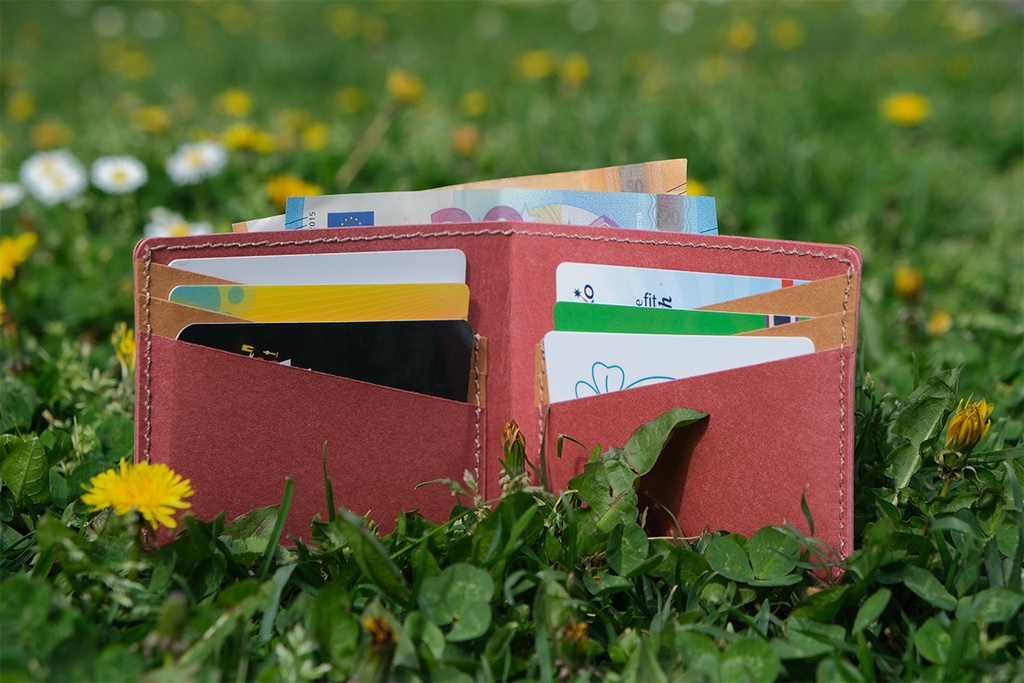 Classic Wallet | Red & Brown2.jpg
