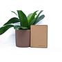 Micro Wallet | Brown & Green 1 - White front.jpg